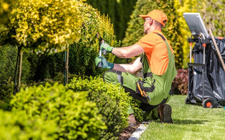 expert turfing services