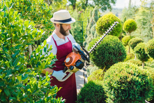professional landscaping in Hoddesdon